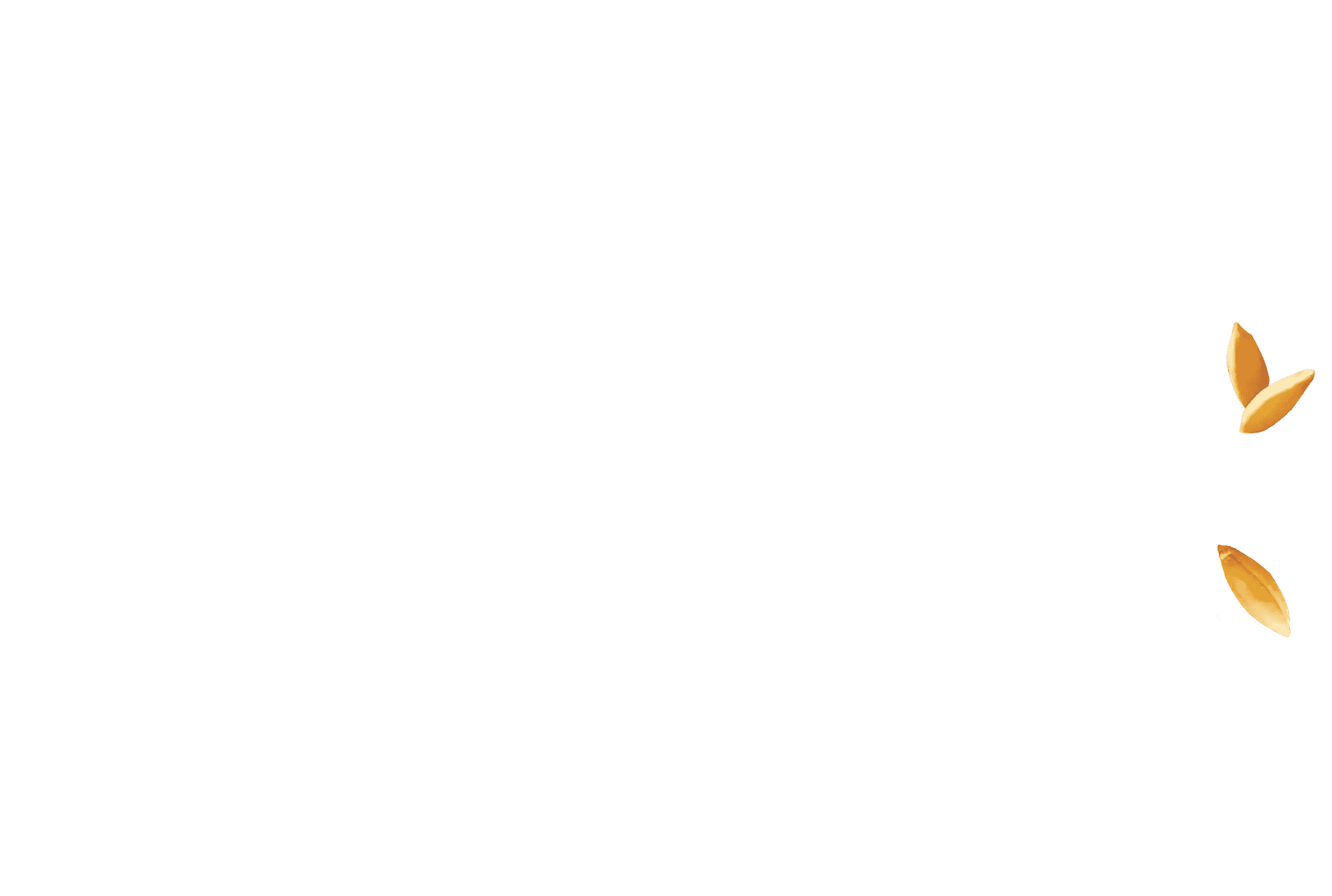 zurek_extras